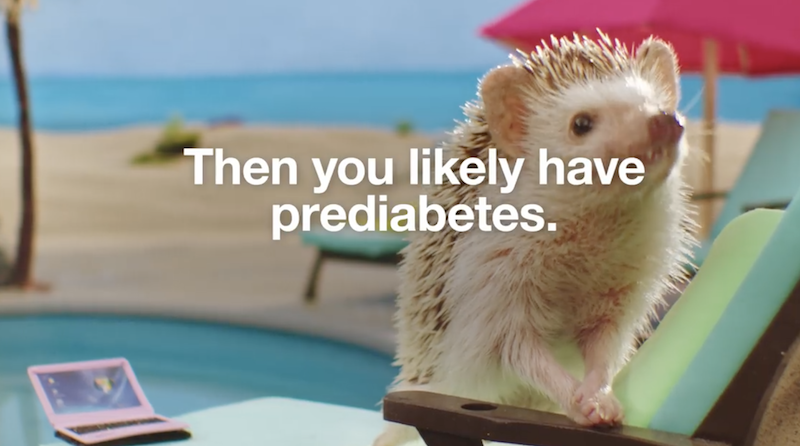 Prediabetes is scary and dull so the CDC is using hedgehogs to raise awareness about a disease that has a ‘tremendous impact economically’ for Tennessee